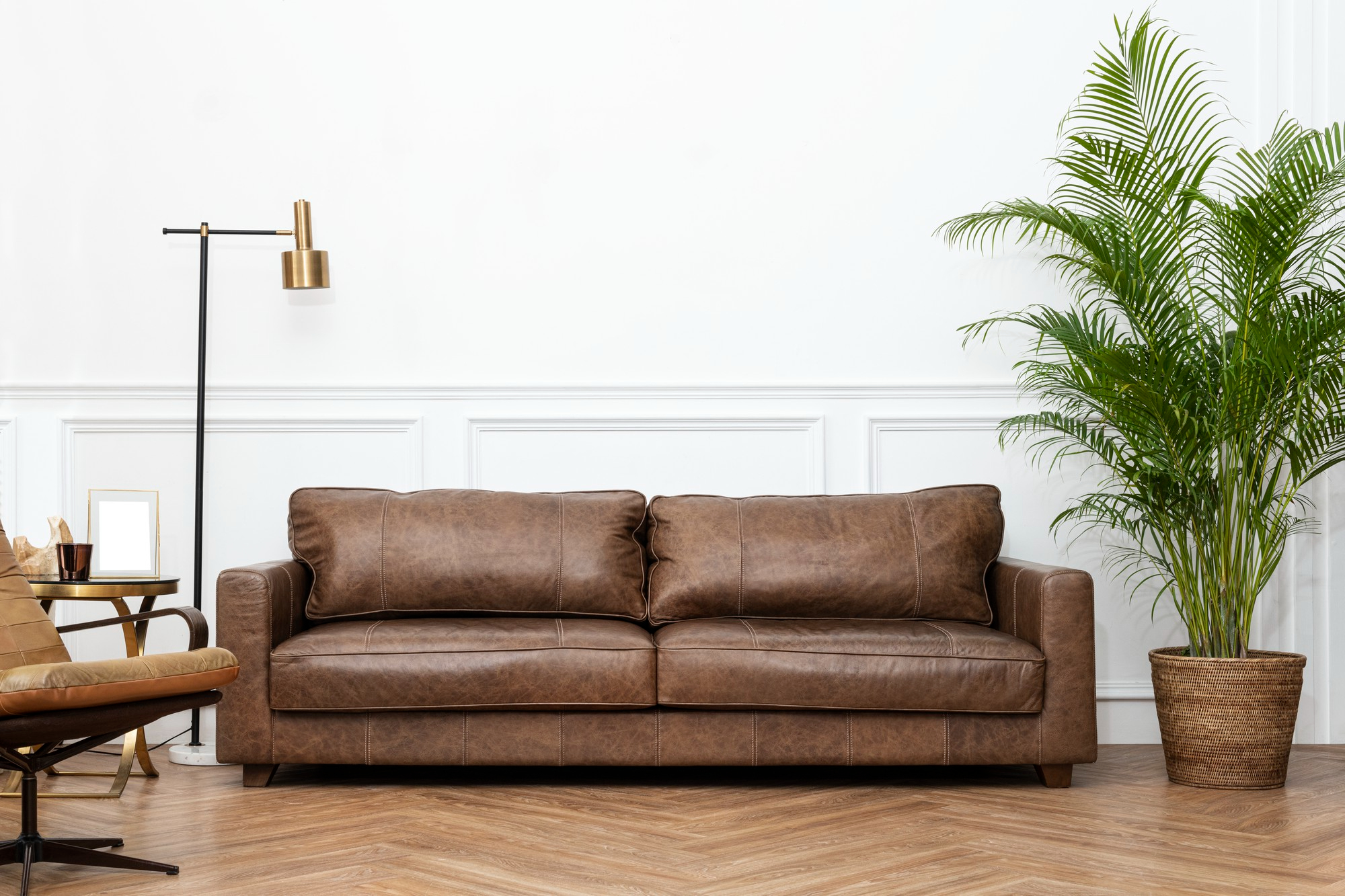 Brown leather couch with indoor plant in contemporary space