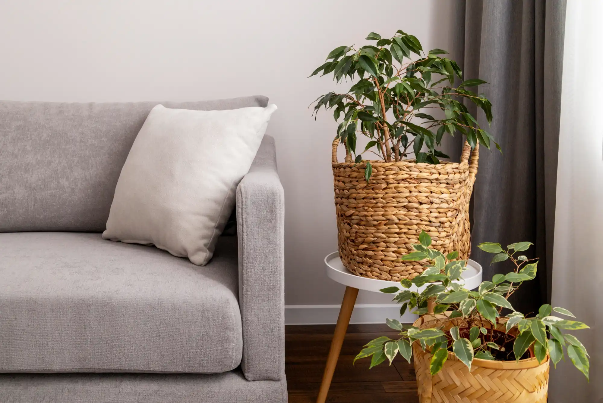 Gray sofa styled with indoor plants and woven baskets