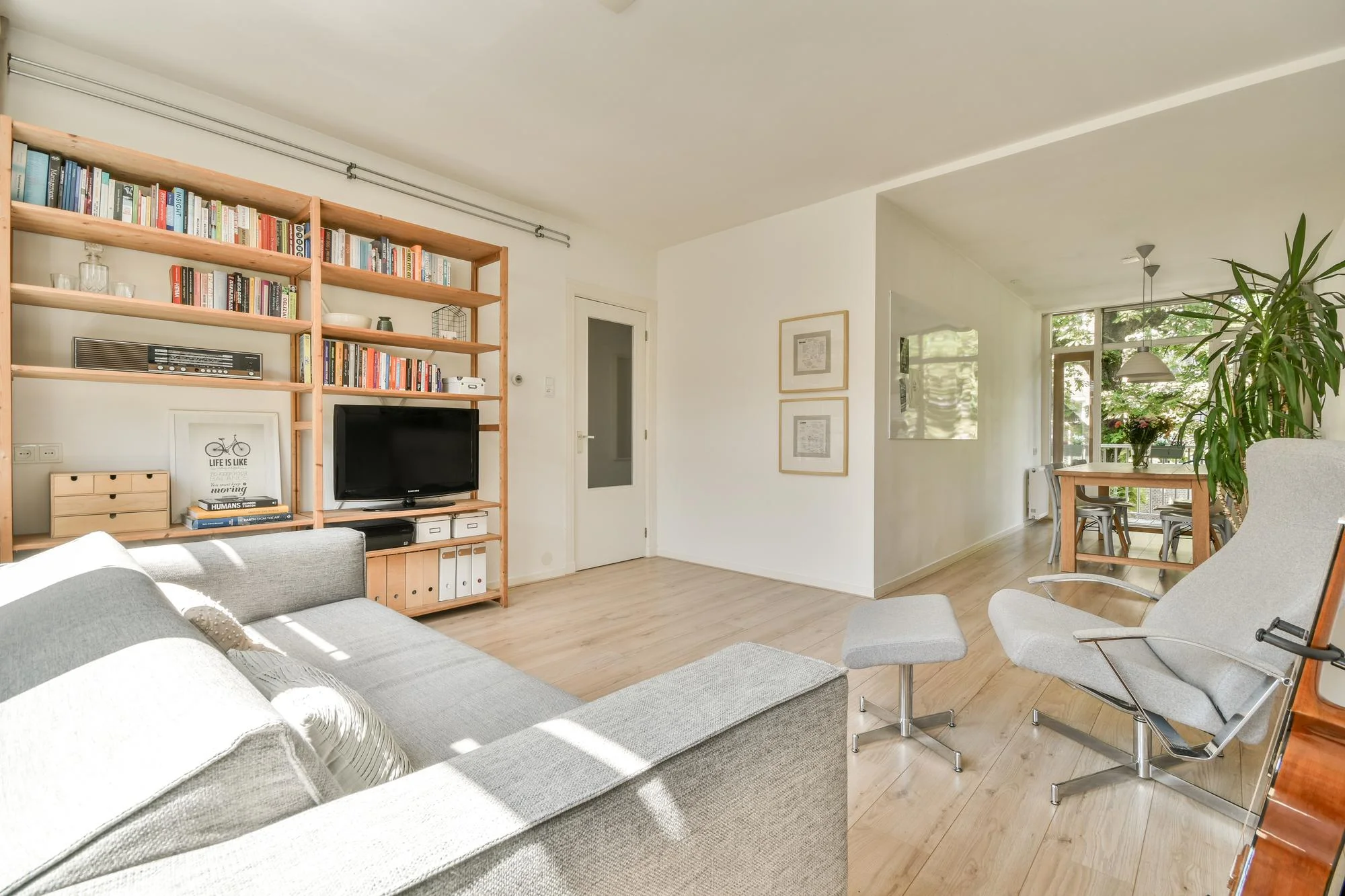 Scandinavian living room with wood shelves and sofa