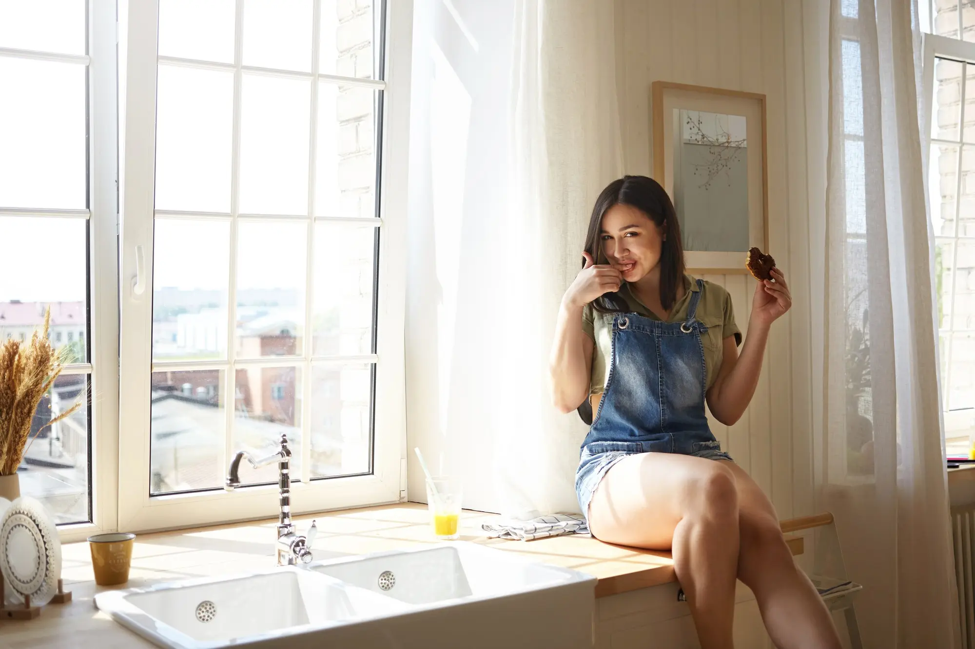 Window Over the Sink Kitchen Window Ideas