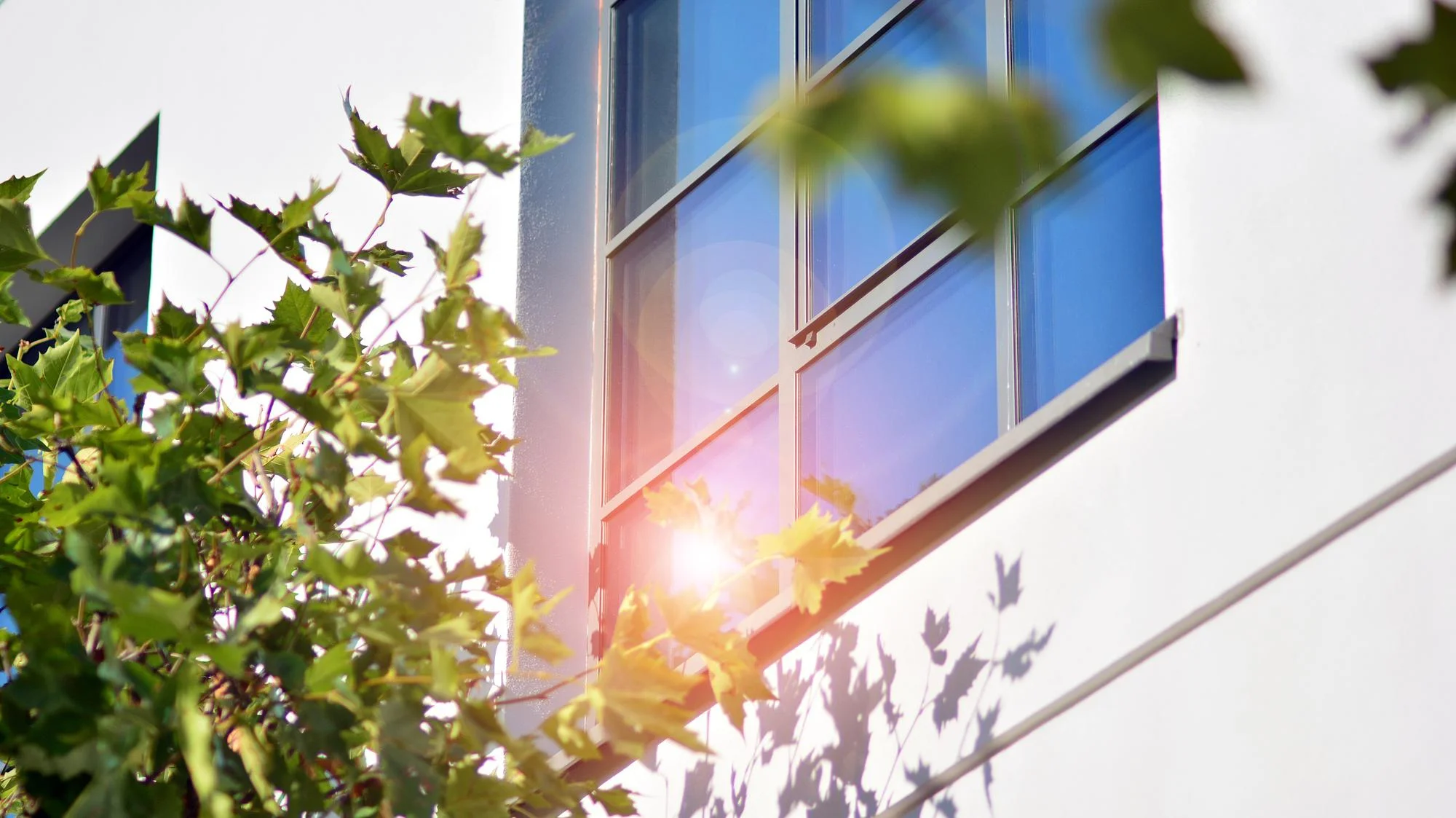 Low E glass windows reducing solar heat gain
